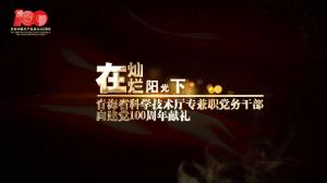 在灿烂阳光下——青海省科学技术厅专兼职党务干部向建党100周年献礼